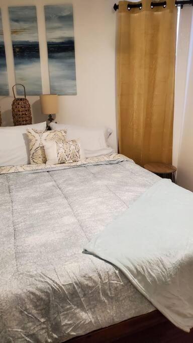 Apartment Cozy One Bedroom Corpus Christi