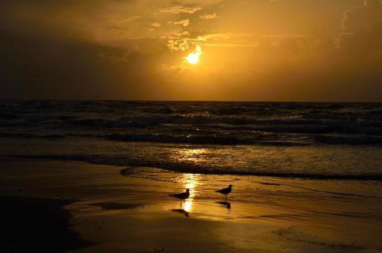 Aparthotel Beachside Condo: Padre Island Retreat *