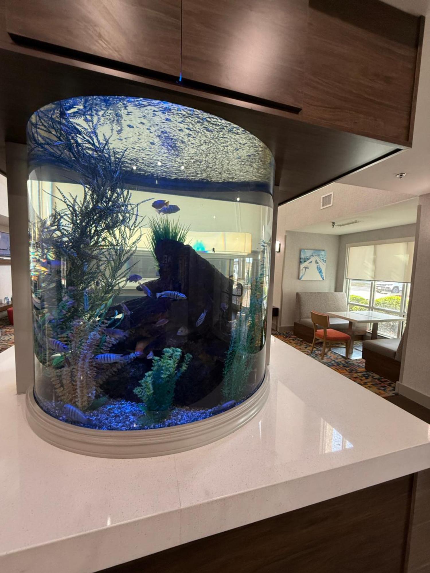 Hampton & I-37 - Navigation Boulevard 3* Corpus Christi