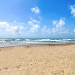 Palm Bay 306