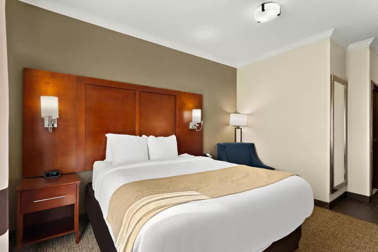 Comfort Hotel