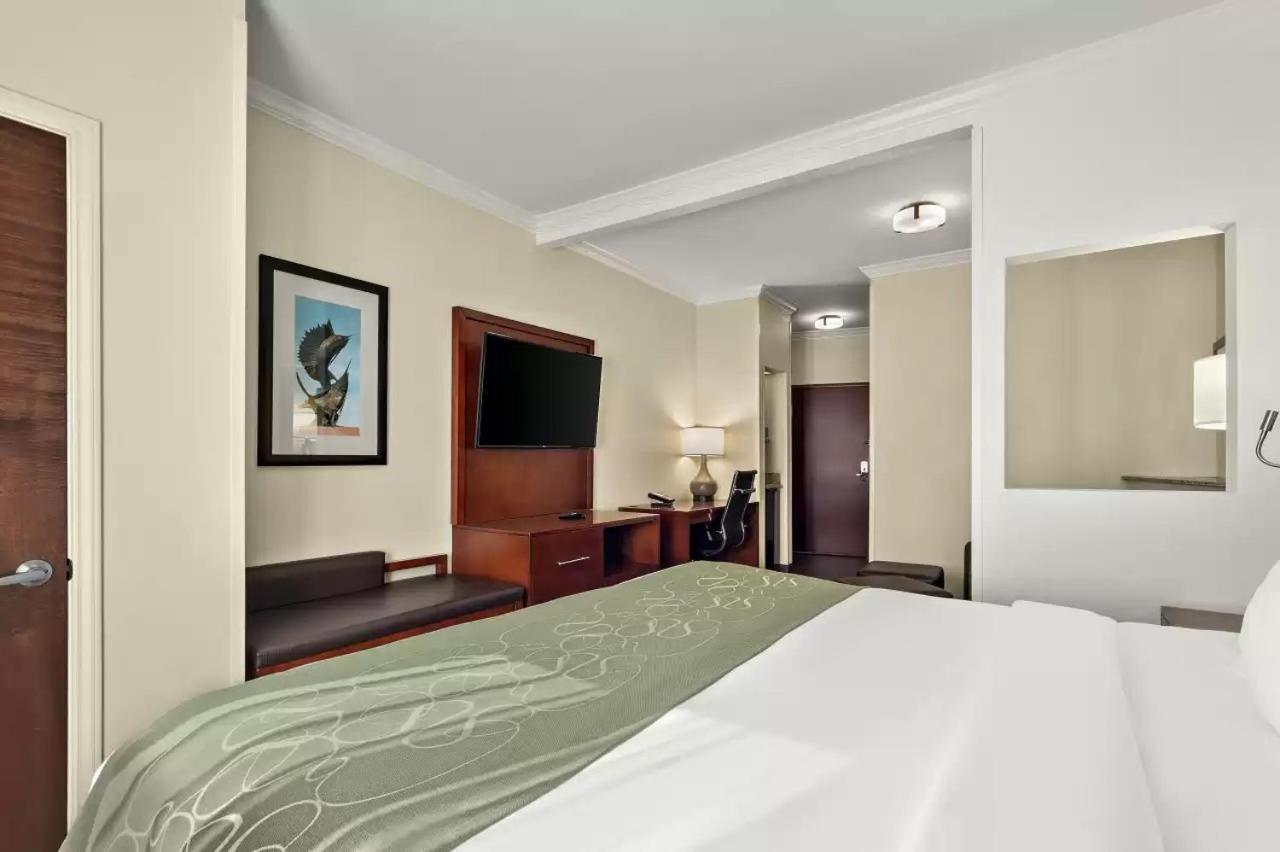 Comfort Hotel